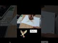 Delineado a #pidgeotto Parte 3/3 / Dibujando toda la pokedex de #kanto