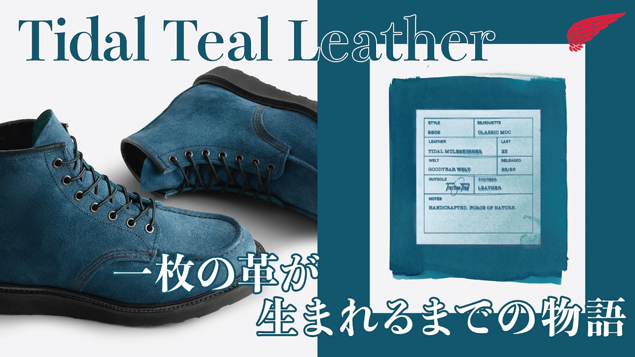 New Product] The 26FW collection features special leather born