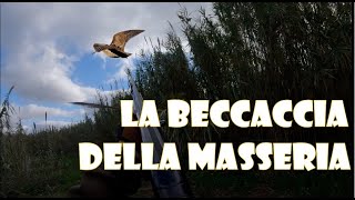 CACCIA: BECCACCIANDO La Beccaccia della Masseria