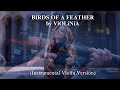 Billie Eilish BIRDS OF A FEATHER By ViOLiNiA Instrumental Violin Version Billie Eilish BIRDS OF A FEATHER By ViOLiNiA Instrumental Violin Version