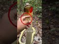 Animal Encounters Nobody Was Ready For