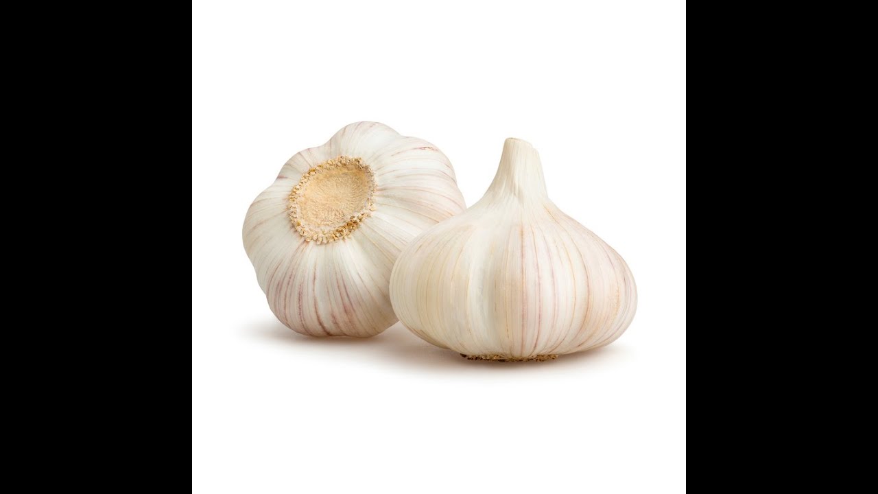 Vegetable name Garlic YouTube
