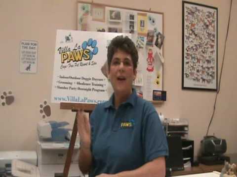 Smelly Dogs: Dog Care Tips from Top Dog Eileen Proctor