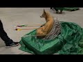LEÓN ENE'23 - PÍLDORAS VIERNES 27/01 (EQUIPOS MIXTOS CCAA) - CAMPEONATO DE ESPAÑA DE 3D EN SALA 2023