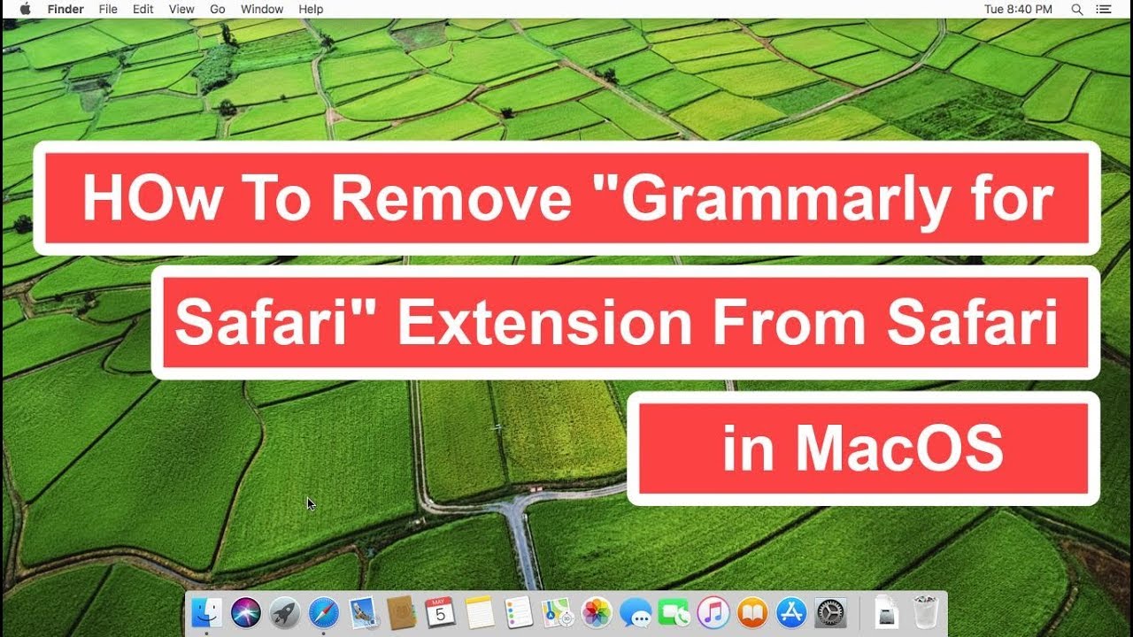 grammarly safari extension not working