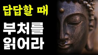 나는 삶이 답답할 때 부처를 읽는다 / 오늘도 마음이 흔들리는 당신을 위한 지혜의 말들