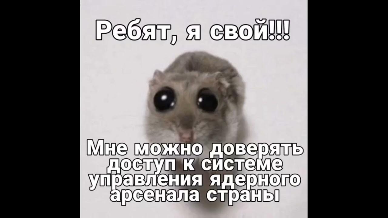 Скучаю по вам друзья. Ищу парня. Напишите мне ребята. Напиши мне напиши. Давай сегодня на ебенимся.