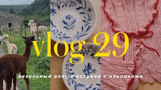 : VLOG 29 -  ,  ,         