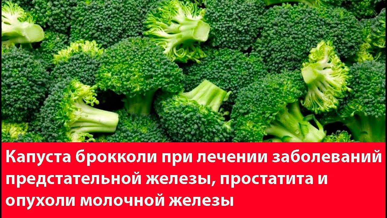 Лечении заболеваний предстательной железы и простатита народными ...