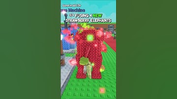 4 OG STRAWBERRY ELEPHANTS vs FUSE MACHINE 😱