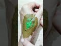 Fresh Easy & Simple Leaf Mehndi design🍃 #shorts #henna #creativehenna #leafhenna #mehndi