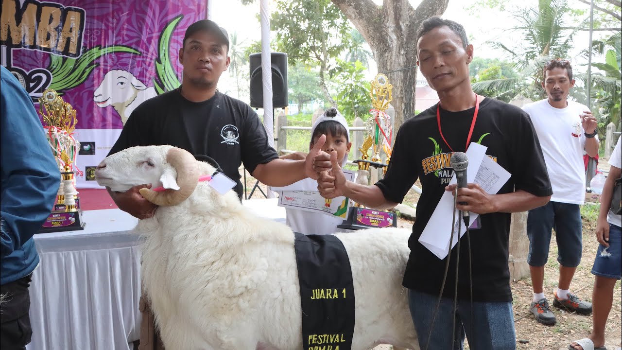 RAJA ANAK GANDIWA IKUT KONTES EXSTRIM POEL 1 - 2 KONTES PURWOREJO