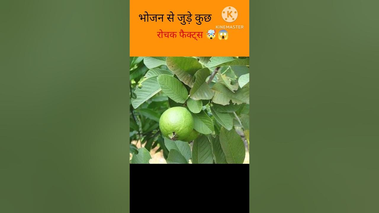 top-amazing-facts-about-food-in-hindi-shortvideo-youtubeshorts