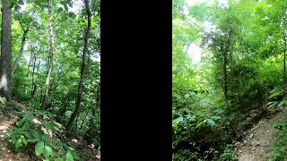 Turkey Hill Trail Hike