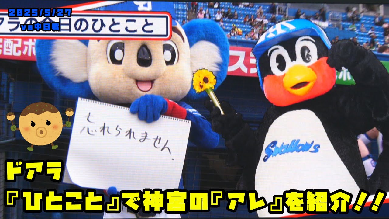 ドアラさん元気？ 不死鳥 chie_koala🐨 (@CDoara) / Posts / X