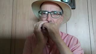 Der Pfannenflicker (German trad.) harmonica chords