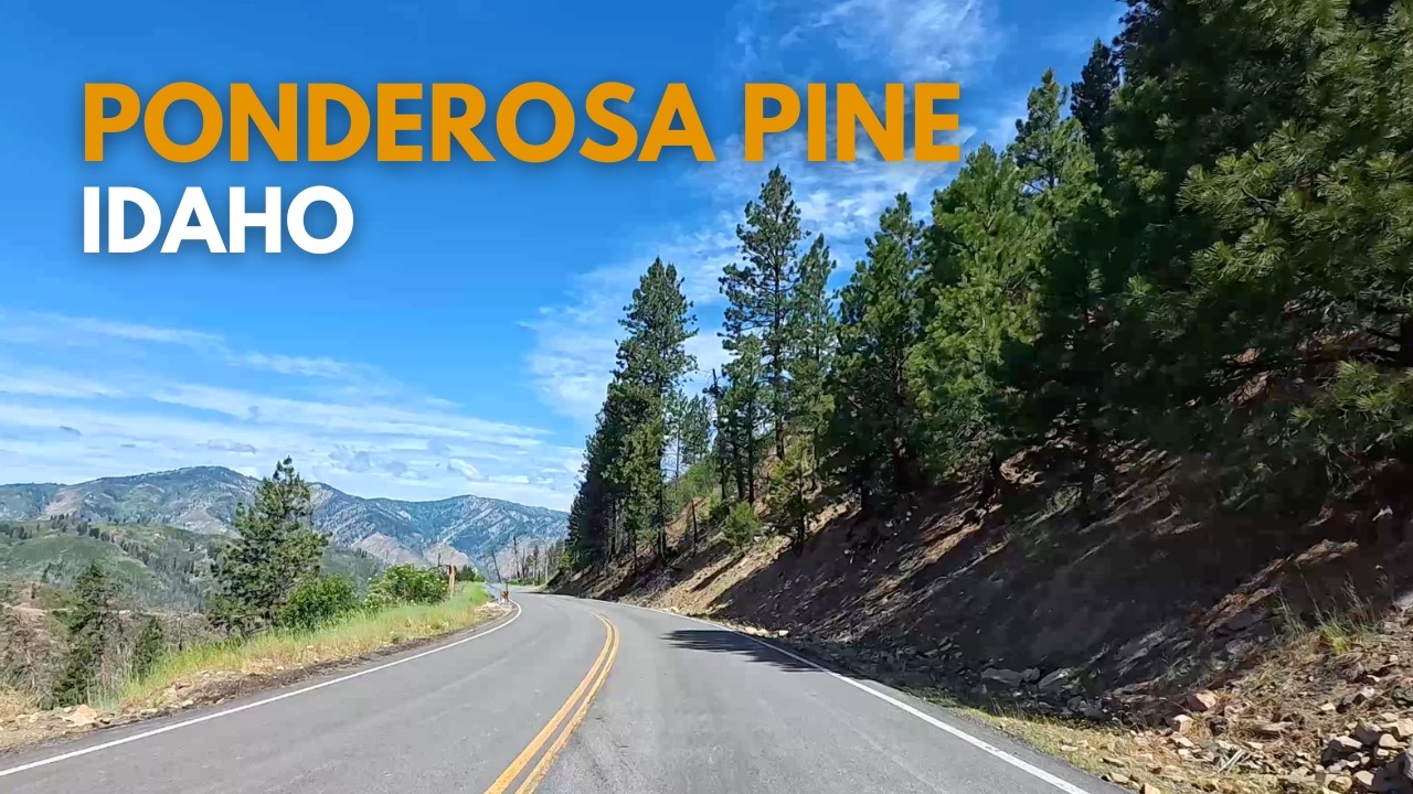 Ponderosa Pine Scenic Byway (Idaho Route 21) | Road Story