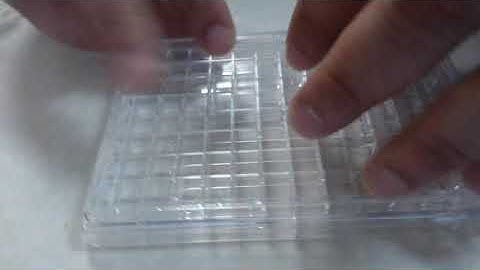 Corning 96 HTS with REMS-96C