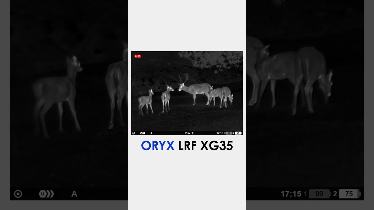 Pulsar Oryx LRF XG35 | 640 Thermal + Built-In Rangefinder