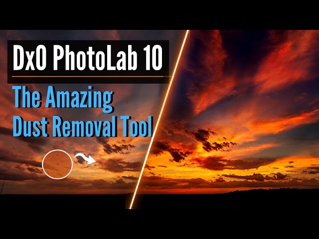 Photolab 10 - The Amazing Dust Removal Tool