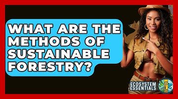 What Are the Methods of Sustainable Forestry? - Ecosystem Essentials