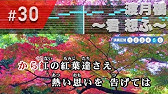 めざせポケモンマスター カラオケ Youtube めざせポケモンマスター カラオケ Youtube