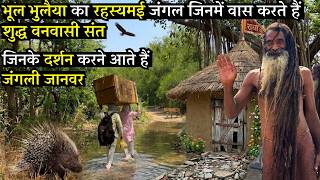 भूल भुलैया के जंगल में रहने वाले विशुद्ध वनवासी संत जिनके दर्शन करने आते हैं जंगली जानवर @BrajVihar