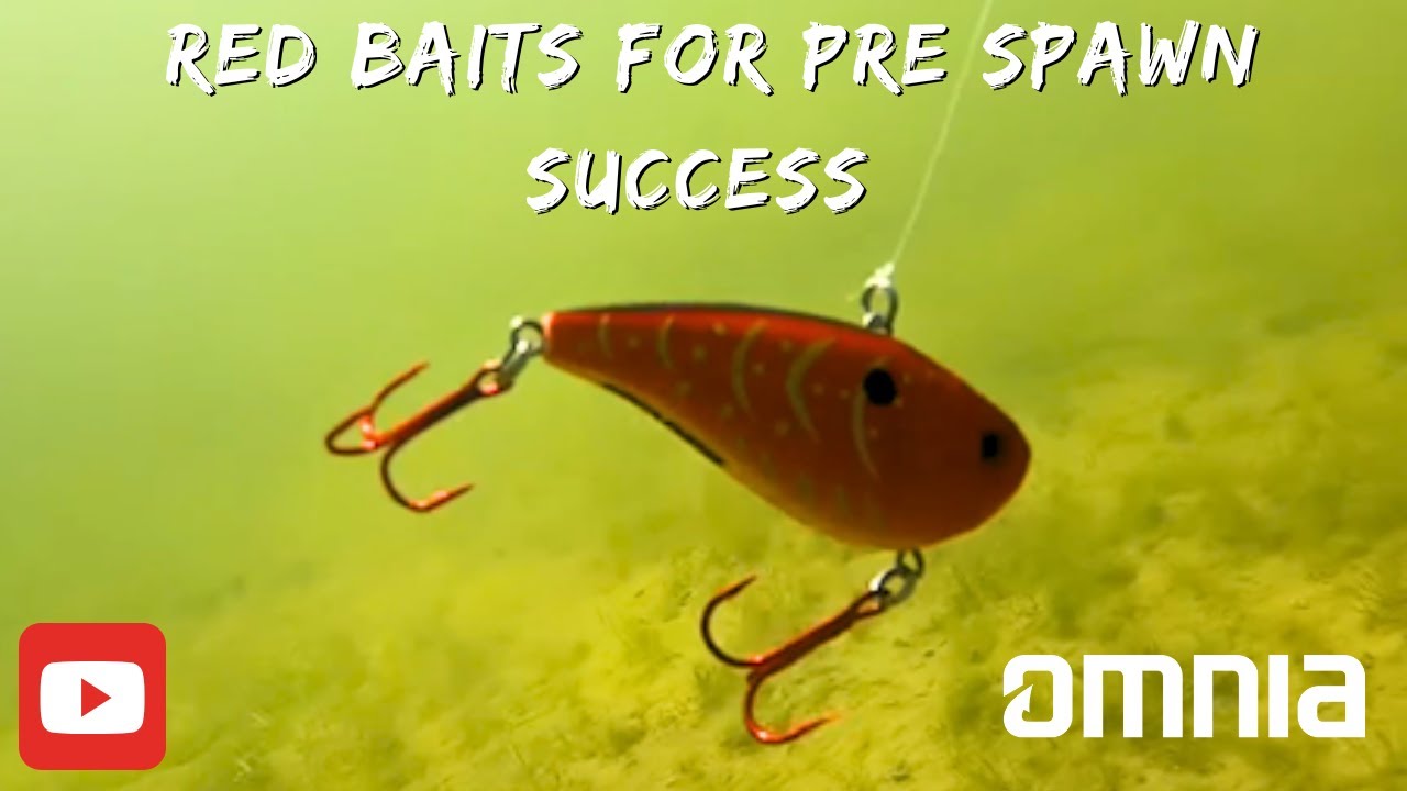 Red Lures for Pre spawn Bass Fishing Success! 