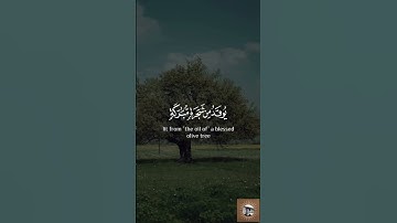 من سورة النور//تلاوة بعض الأيات// القارئ يوسف دريرة //أكتب شيء تأجر عليه!