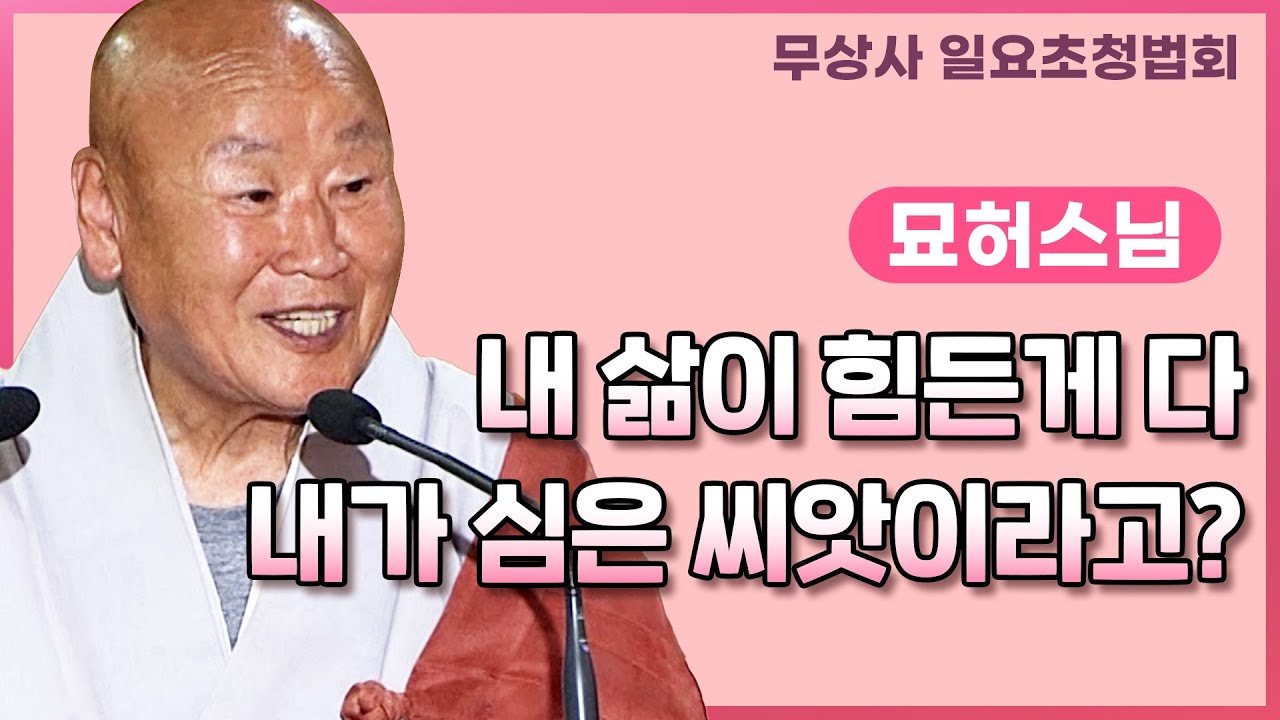 내 삶이 이렇게 힘든 것이 내가 심은 씨앗이라고? #묘허스님 #무상사일요초청법회 #풀영상