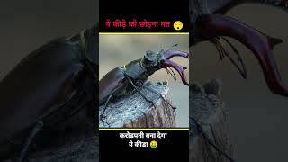 The most expensive insect in the world 🌎 #millionaire #kida #shorts