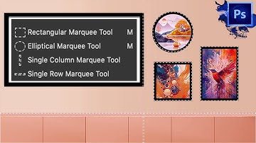 Adobe Photoshop Class 7  Rectangular Elliptical Single Row and Single Column Marquee Tool Urdu/Hindi