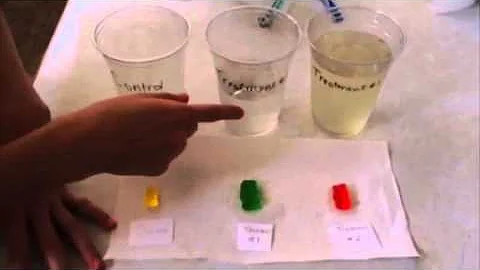 Heidi Gates Gummy Bear Osmosis Experiment