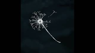 Tình Hoang Raw Demo