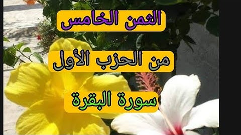 حفظ الثمن الخامس من الحزب الأول (سورة البقرة) / مكرر 5 مرات / رواية ورش عن نافع