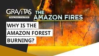 Wion Gravitas Why Is The Amazon Forest Burning?
