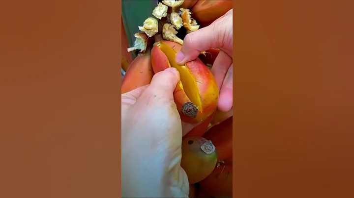 "The Four Silent Killers of Life".#shorts #ytshorts