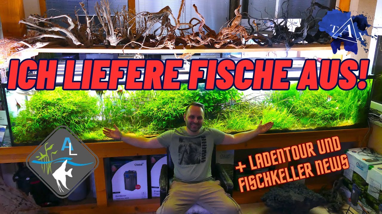 Ich liefere FISCHE aus! I TAX