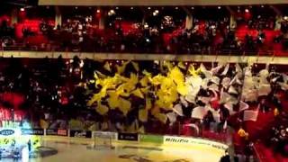 Aik-Dif 2212 Aiks Tifo