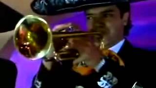 Video thumbnail of "Si te vas no hay lío. La hija del mariachi.-Jairo Del Valle."