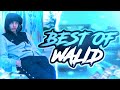 Compilation walid sur gta rp   best of gta rp