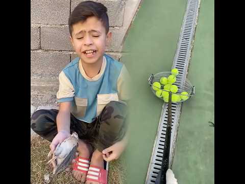 يقولون أن أقل من 10 من الناس يمكنهم التخمين هل يمكنك    