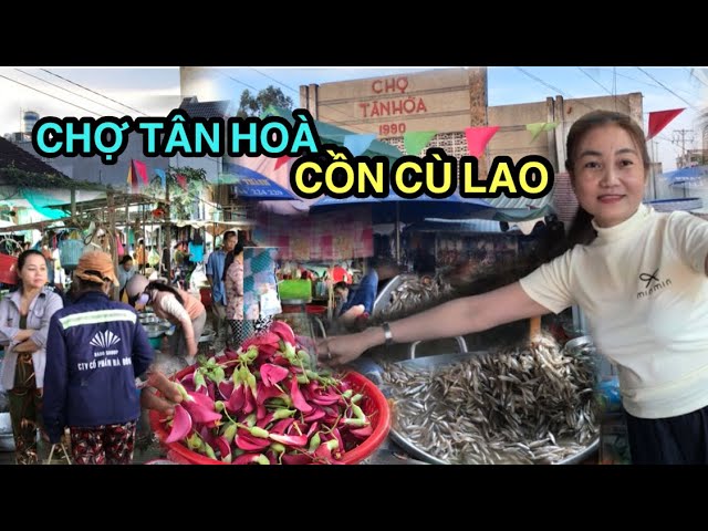 CHỢ TÂN HOÀ “CHỢ BẾN DINH” CÙ LAO TÂY, THANH BINH; ĐT thân thiện, vui vẻ, nhiều đặc sản..22/12