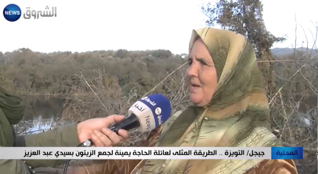 جيجل: التويزة.. الطريقة المثلى لعائلة الحاجة يمينة لجمع الزيتون بسيدي عبد العزيز