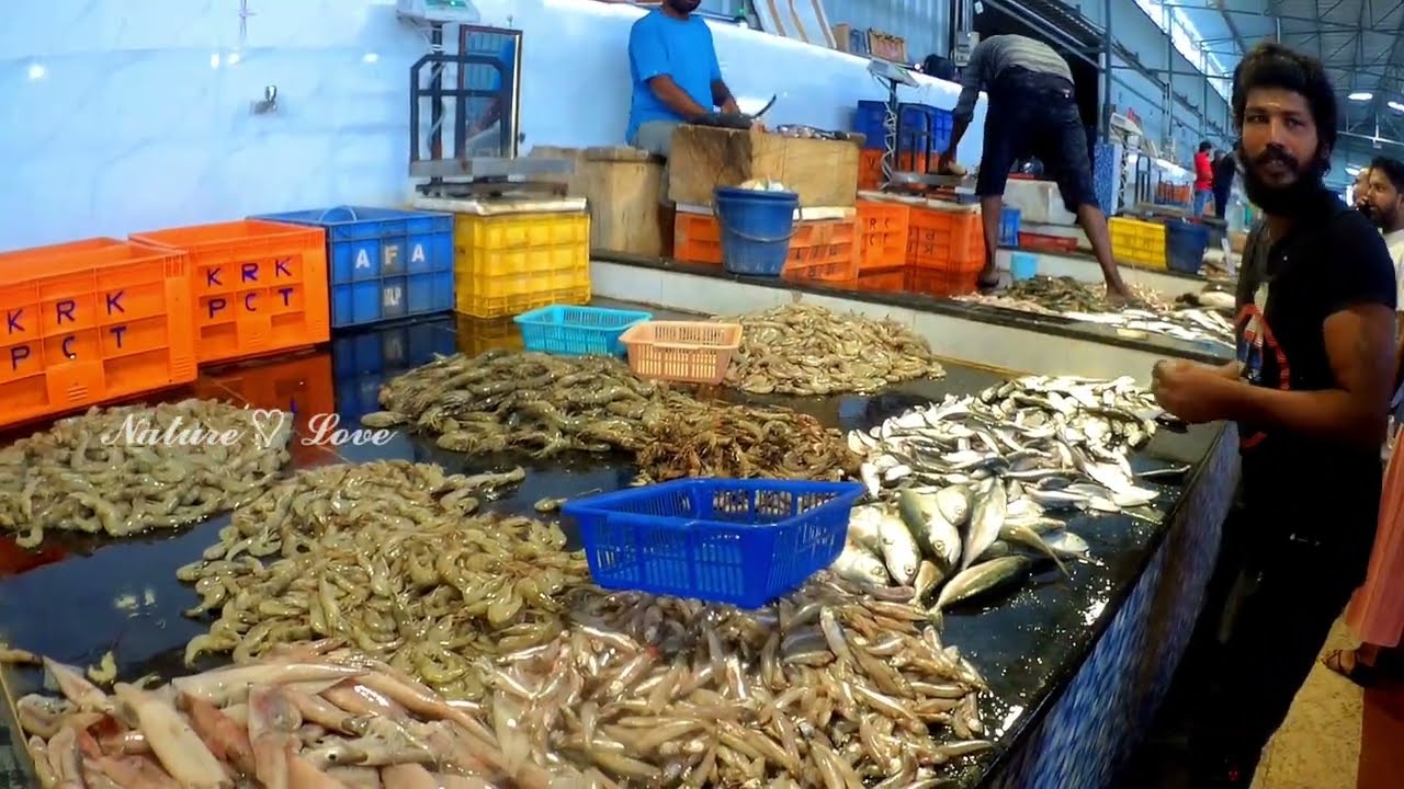 Chennai Medavakkam Fish Market Full Roundup சென்னை மேடவாக்கம் மீன் மார்க்கெட் viral trending
