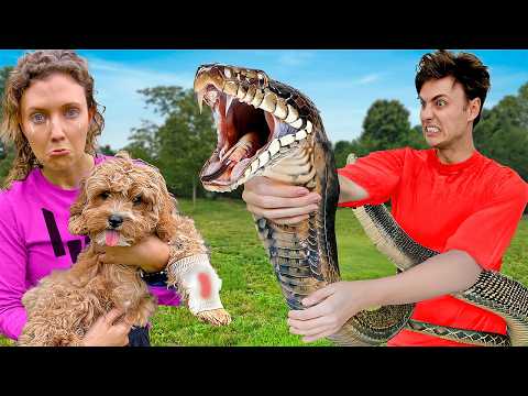 Snake ATTACKED my