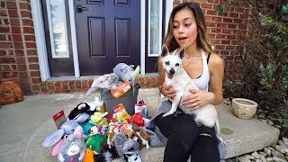 SURPRISING MY PUPPY WITH HER DREAM GIFTS!