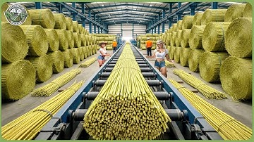 Inside the World’s Largest Hemp Processing Line – How Fiber & Hempcrete Are Made