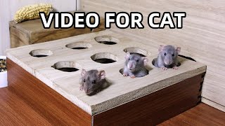 Cat TV🐭Mouse Watch TV🐭Video for Cats to Watch🐭