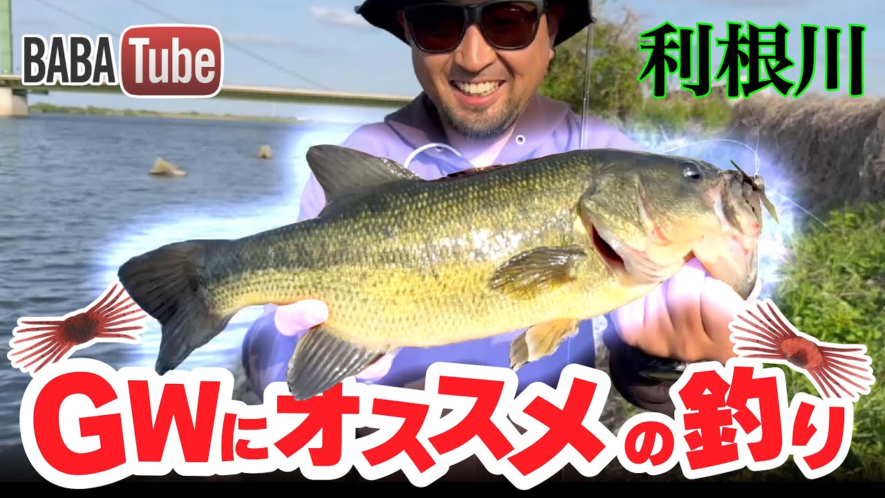 BABATube【利根川水系】ゴールデンウィークにおすすめ！ベイトがカニなのかエビなのか問題